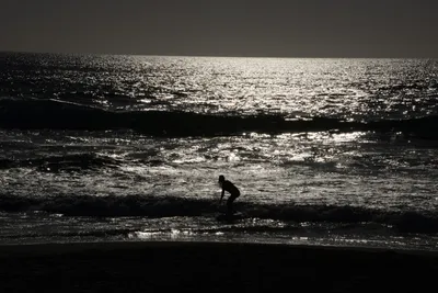 DSC_7024 (Large).JPG